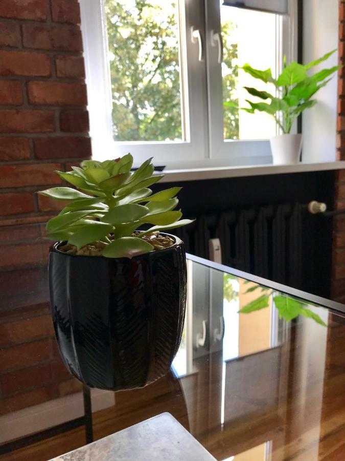 Odrzanka Apartment Gryfino